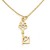9ct gold 21 key Pendant with 19 inch chain