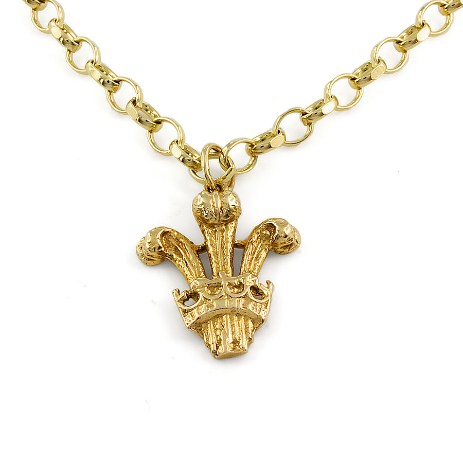 22ct Gold Full Sovereign Pendant & 9ct Gold Chain | Jewellers in Doncaster  | Sovereign Jewellery